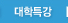 대학특강